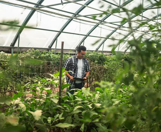 Investissement responsable