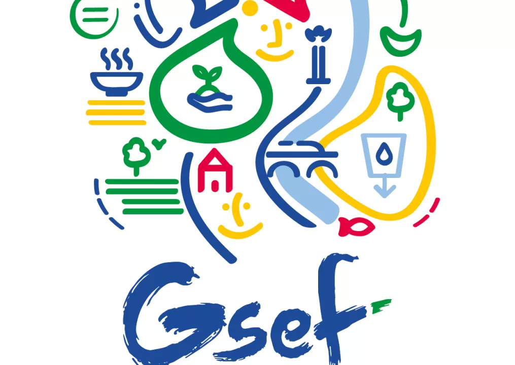 affiche gsef