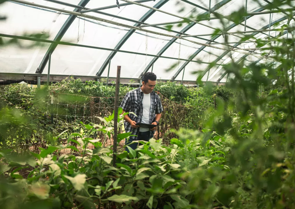 Investissement responsable